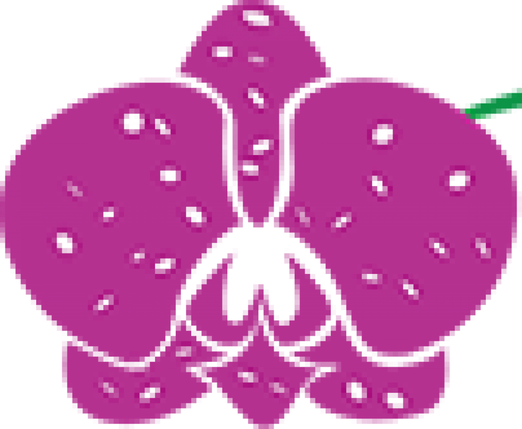 Lan ngọc điểm giá rẻ