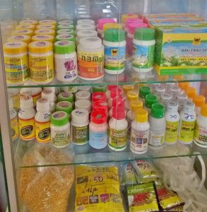 cach trong lan bang phan vo co 1