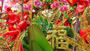 bat mi 6 loai hoa lan choi tet 9