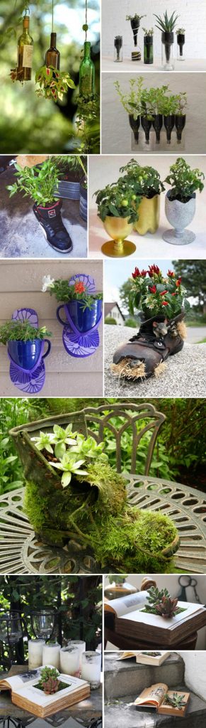 Lan ngọc điểm giá rẻ