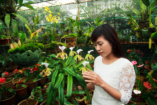 choi lan duong tinh