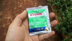 atonik cong dung va cach dung tren hoa lan