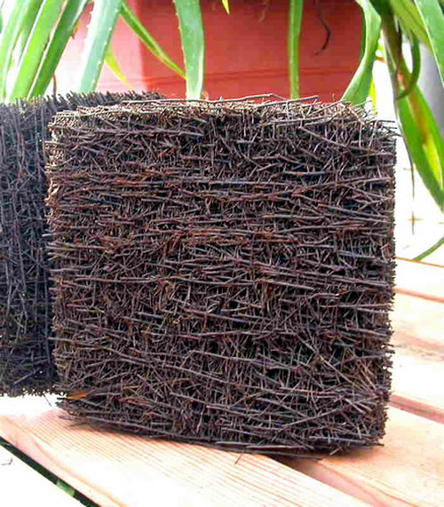 cac-loai-gia-the-trong-lan-thong-dung-o-viet-nam-6 Các loại giá thể trồng lan thông dụng ở Việt Nam