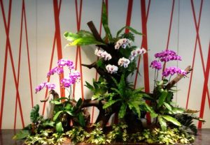 ky thuat ghep lan vao than go