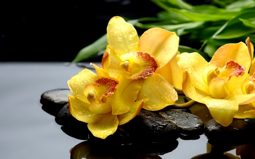 lan hut nuoc va muoi khoang nhu the nao