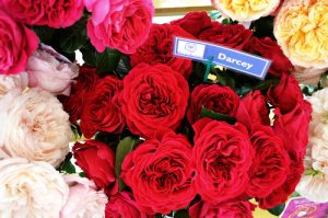 quoc hoa cac nuoc tren the gioi phan 1