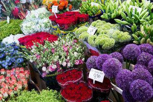 quoc hoa cac nuoc tren the gioi phan 2