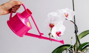 sai lam co ban cua nguoi moi tap choi lan