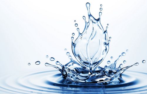 Lan ngọc điểm giá rẻ