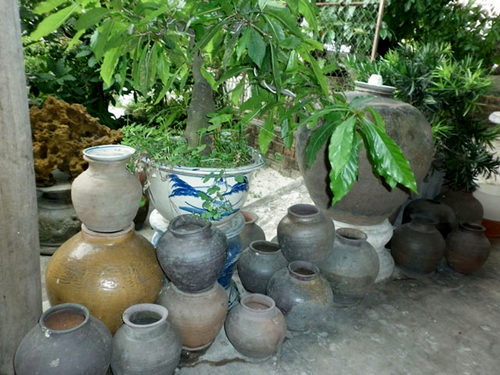 cac-loai-nuoc-san-co-giup-lan-phat-trien-manh-khoe Các loại nước sẵn có giúp lan phát triển mạnh khỏe