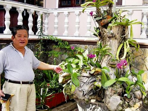 ky thuat trong hoa lan ghep goc cay doc la va dep bat ngo