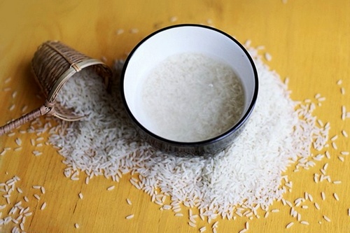 Lan ngọc điểm giá rẻ