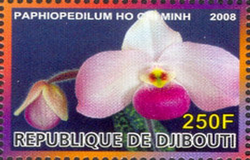 lan hai ho chi minh