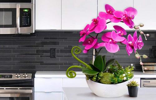 ngam hoa lan bonsai mini sieu dep trang tri nha 15