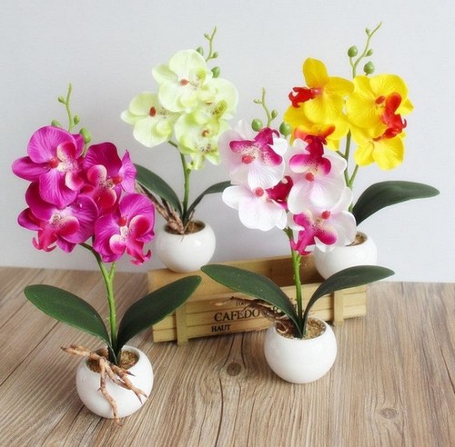 ngam-hoa-lan-bonsai-mini-sieu-dep-trang-tri-nha-3 Ngắm hoa lan bonsai mini siêu đẹp trang trí nhà