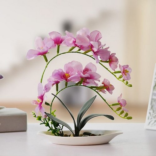 ngam-hoa-lan-bonsai-mini-sieu-dep-trang-tri-nha-8 Ngắm hoa lan bonsai mini siêu đẹp trang trí nhà