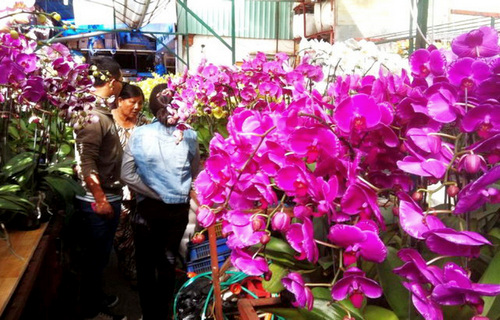 tai sao phai trong lan 6
