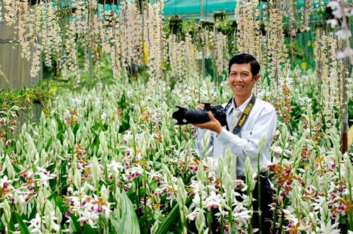 Lan ngọc điểm giá rẻ