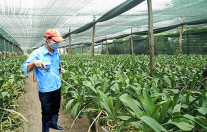 nguyen tac 4 dung trong su dung thuoc bao ve thuc vat