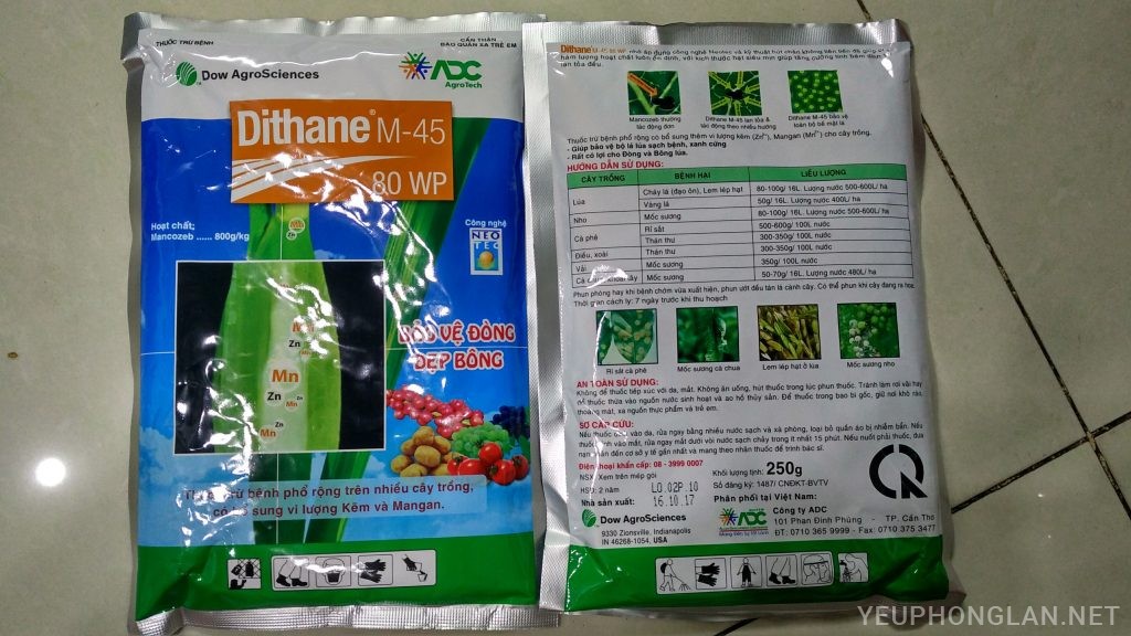 Lan ngọc điểm giá rẻ